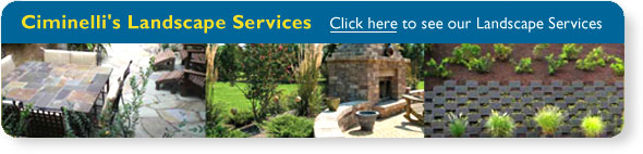 Ciminelli's Landscape Services, Inc.