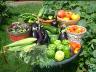 veggies