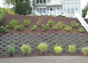 Smartslope Living Wall — Severna Park