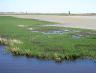wetsoil